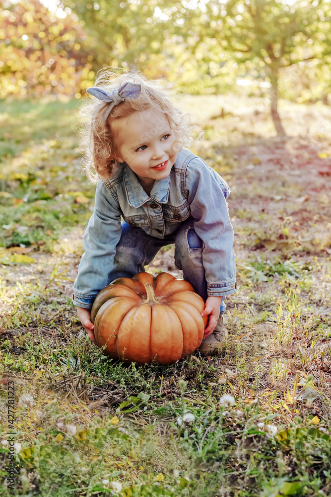 Kid child girl trying to raise huge pumpkin outdoor. Halloween pumpkin in autumn street in children hands of Caucasian blonde little girl in denim suit in farm garden. Kid child girl trying to raise huge pumpkin outdoor. Halloween pumpkin in autumn street in children hands of Caucasian blonde little girl in denim suit in farm garden.