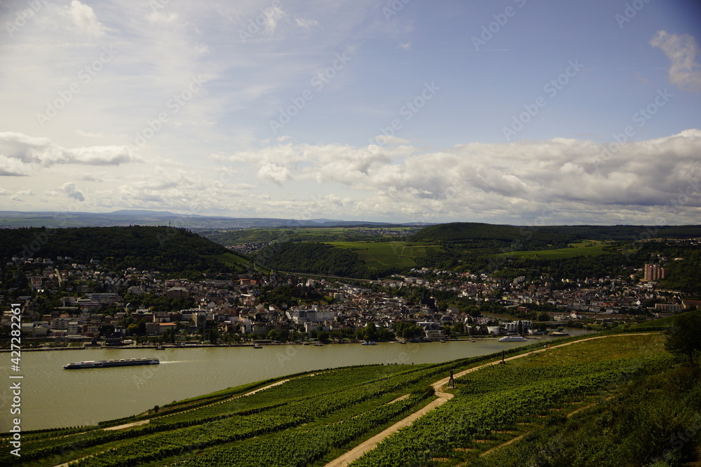 Rüdesheim am Rhein mit Weinbergen