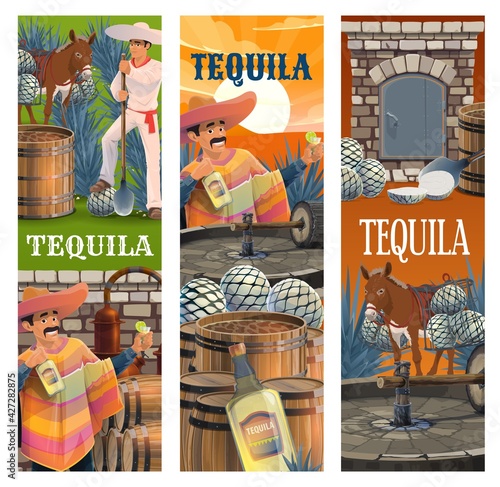 Tequila Mexican alcohol drink production banners, vector. Mexican man in sombrero and poncho with bottle of blue agave, tequila production farm, jimador worker, production process
