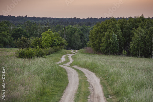 Beautiful spring rural landscape with meadows and trees. Poland. Suburban area.