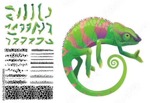 Green chameleon lizard cartoon vector tropical reptile animal. Chameleon creation kit with constructor set of skin pattern brush with camouflage spots and legs with toes