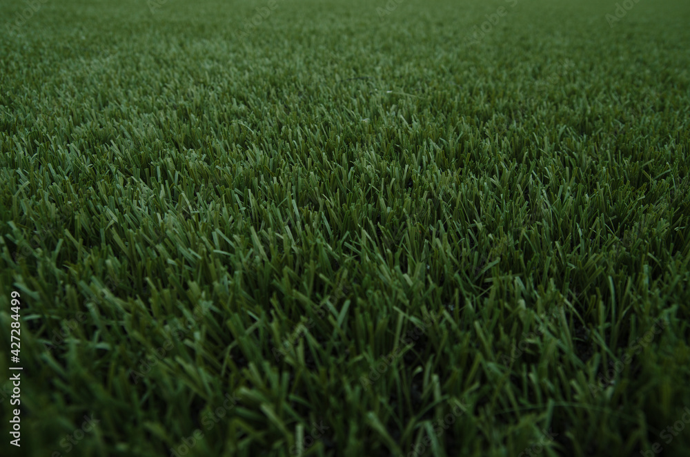 Detalle césped campo de fútbol Detalle césped campo de fútbol