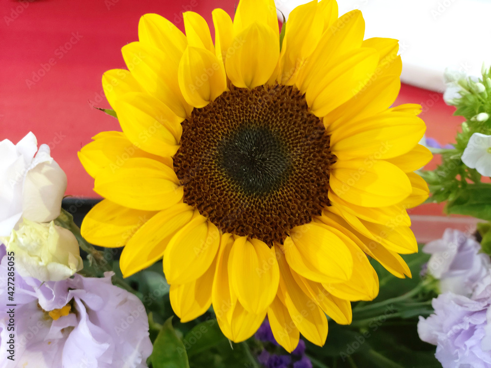 Naklejka premium a beautifully decorated set of sunflowers