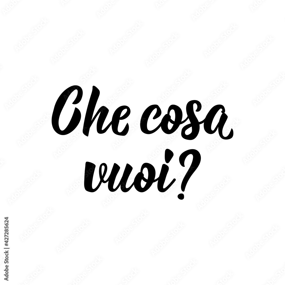 Fototapeta premium Translation from Italian: What do you want. Vector illustration. Lettering. Ink illustration. Che cosa vuoi