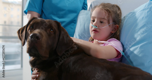 Close up of sick little girl with nasal oxygen tube stroking brown labrador lying in hospital bed