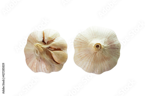 Garlic isolated on white background scene