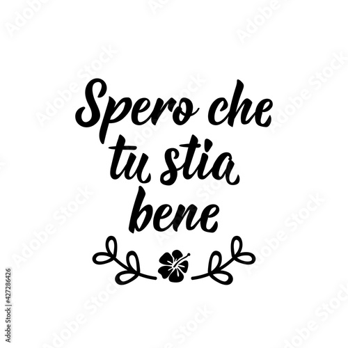 Translation from Italian: I hope you are well. Vector illustration. Lettering. Ink illustration. Spero che tu stia bene. photo