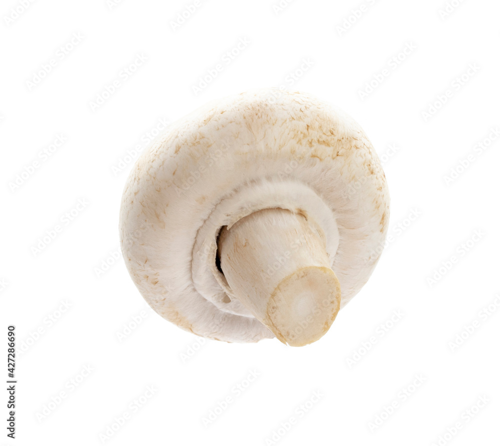 champignon isolated on a white background. champignon isolated on a white background.