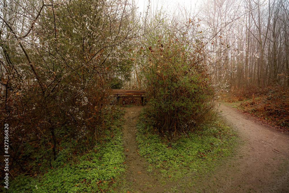 Bank am Wegesrand im Wald Bank am Wegesrand im Wald