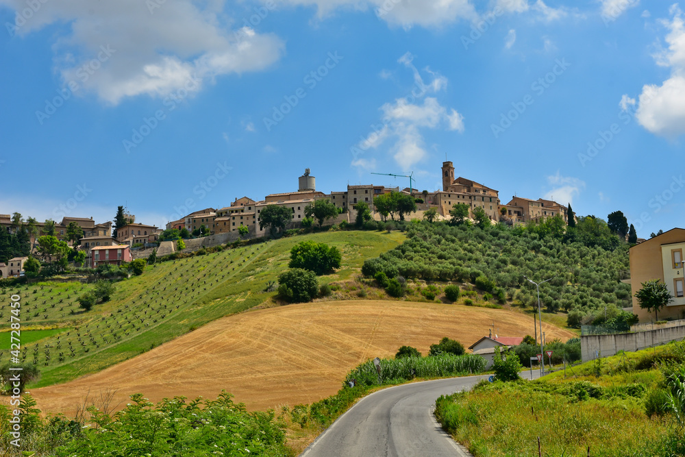 Typical natural landscape of the Marche region in Italy.
