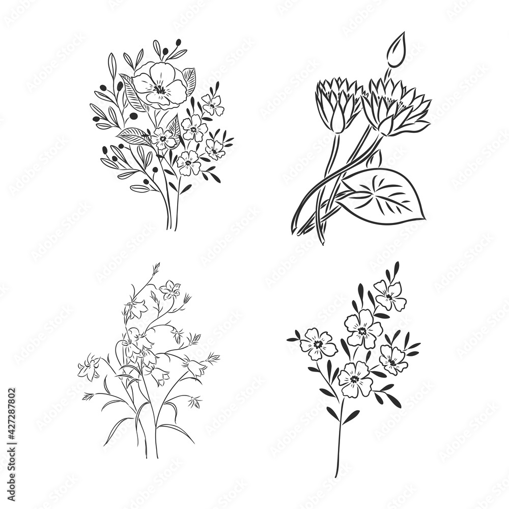 Fototapeta premium Ink, pencil, the leaves and flowers of apple isolated. Line art transparent background. Hand drawn nature painting. Freehand sketching illustration.