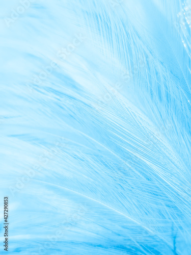 Beautiful abstract blue feathers on white background, white feather texture and blue background, feather wallpaper, blue texture banners, love theme, valentines day , gray gradient