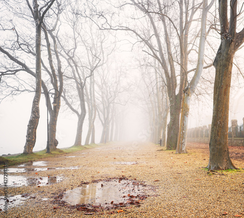 Foggy road at lake Balaton