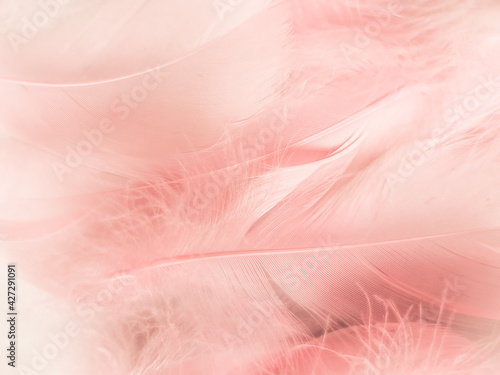 Beautiful abstract light pink feathers on white background   white feather frame on pink texture pattern and pink background  love theme wallpaper and valentines day  white gradient