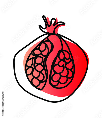 Vector illustration of pomegranate in one line endless style. Red and light red abstract spot background. Can be applied as a sticker, icon, logo.