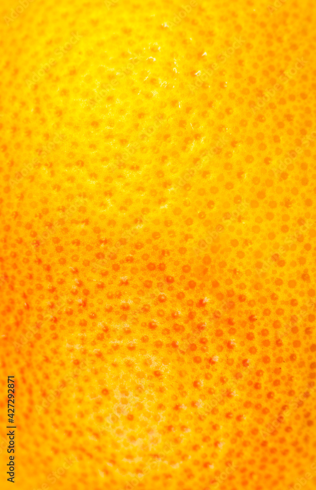 Close up photo of Grapefruit peel texture. Exotic ripe fruit background, macro view. .Human skin problem concept, acne and cellulite.   Beautiful nature wallpaper.