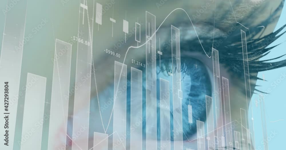 Animation of statistics and data processing over woman's eye in background Animation of statistics and data processing over woman's eye in background