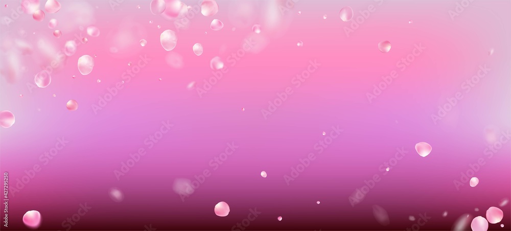 Rose Petals Falling Confetti. Windy Leaves Confetti Border. Elegant Rose Petals Falling Confetti. Windy Leaves Confetti Border. Elegant