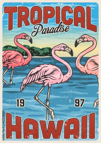 Hawaiian exotic vintage colorful poster
