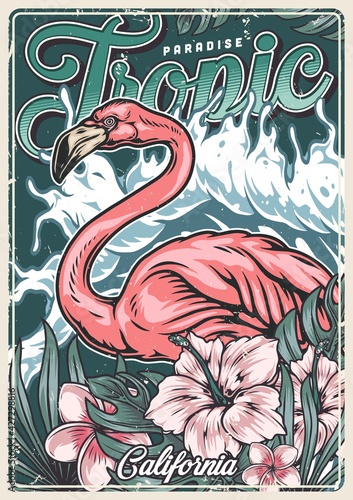 Tropische kleurrijke vintage poster