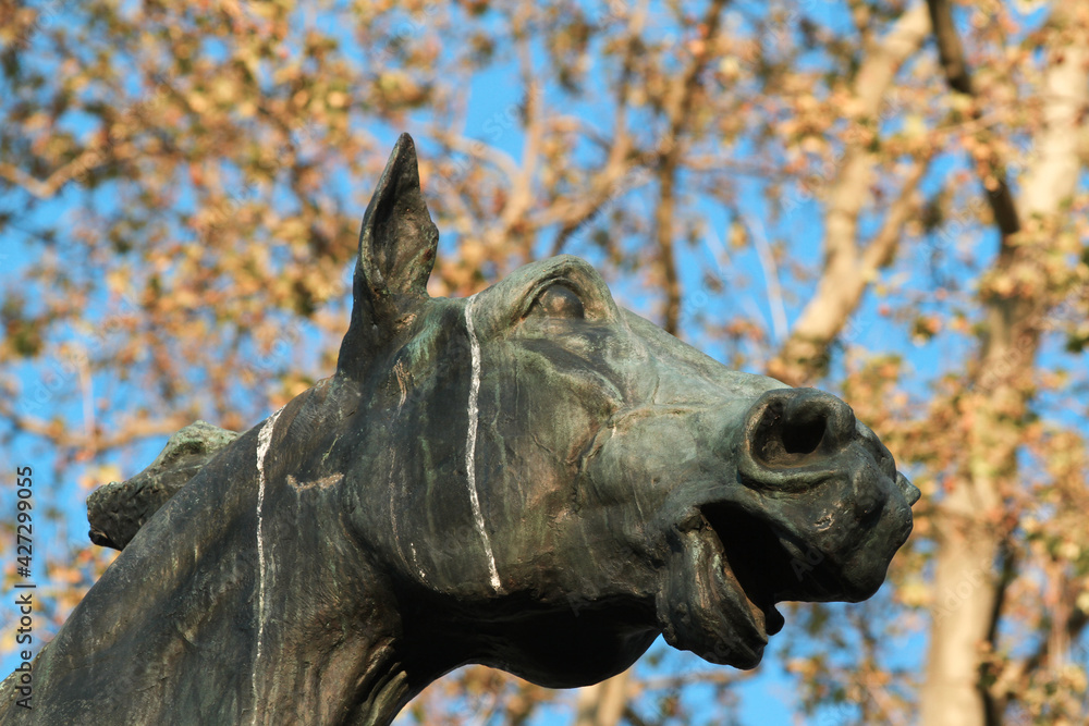 Fototapeta premium Detail of the bronze statue of Anita Garibaldi on the Janiculum
