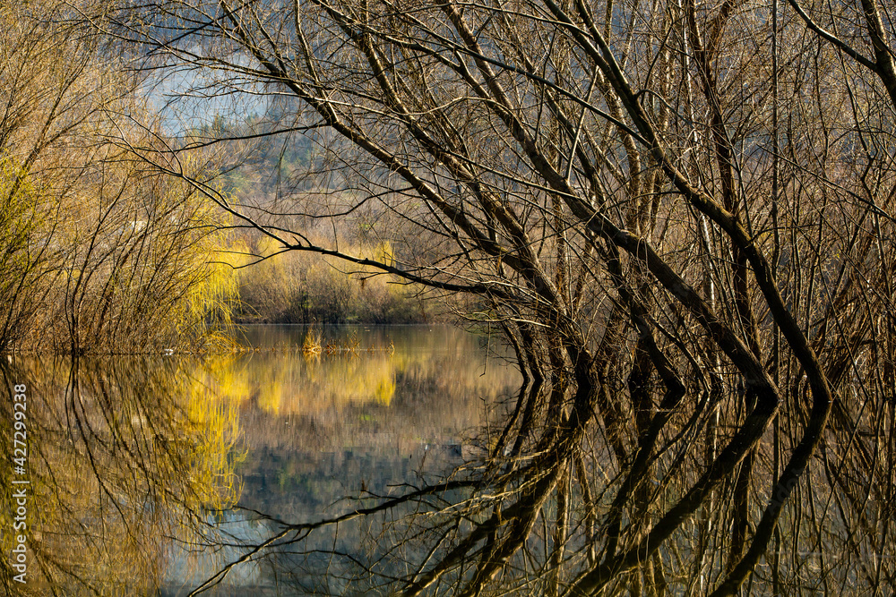 Beautiful landscape with three and river in Europe. Amazing nature in spring. Ideal resting place. Silent place Beautiful landscape with three and river in Europe. Amazing nature in spring. Ideal resting place. Silent place