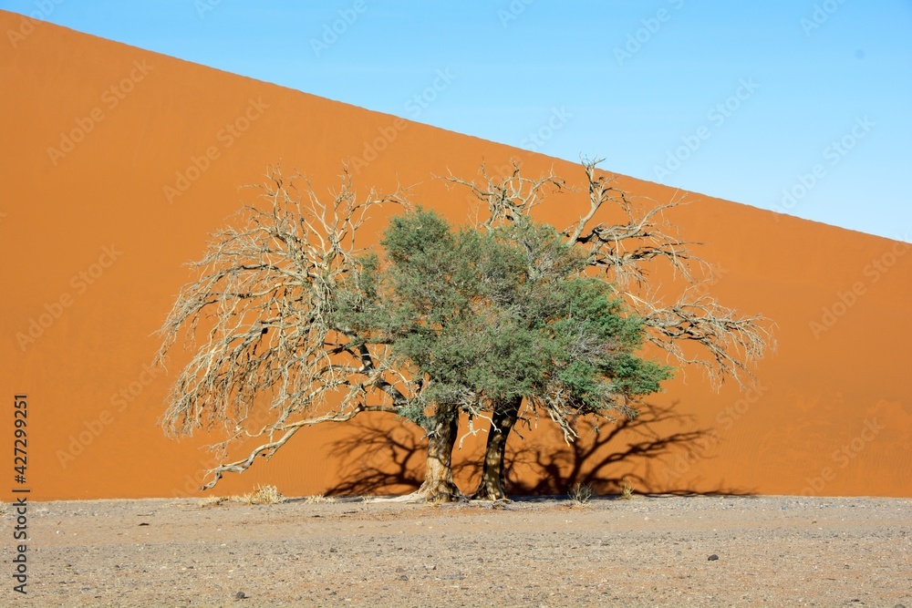 Sossusvlei, Namib Desert, Namibia
