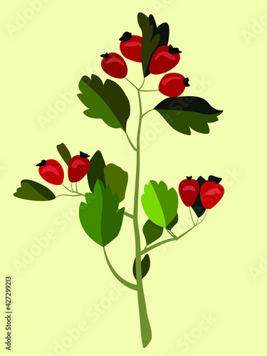 Red berries with leaves on a branch. Vector flat illustration in the style of minimalism. Painting in light colors. Design for cards, posters, backgrounds, textiles, templates, logos.