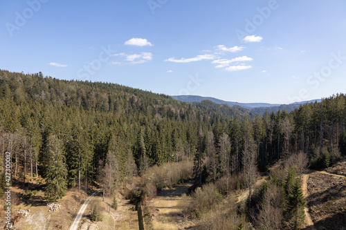 Ausblick im Schwarzwald über Baume und wunderschöne Landschaft