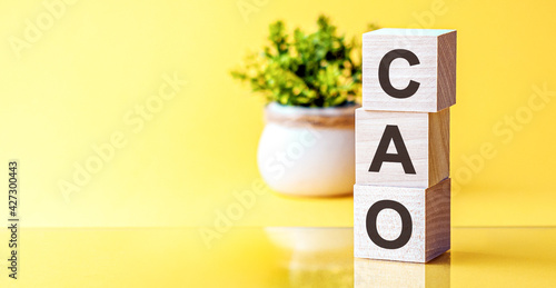 Three wooden cubes with letters - cao - chief accounting officer, on yellow table, space for text in left. Front view concepts, flower in the background. photo