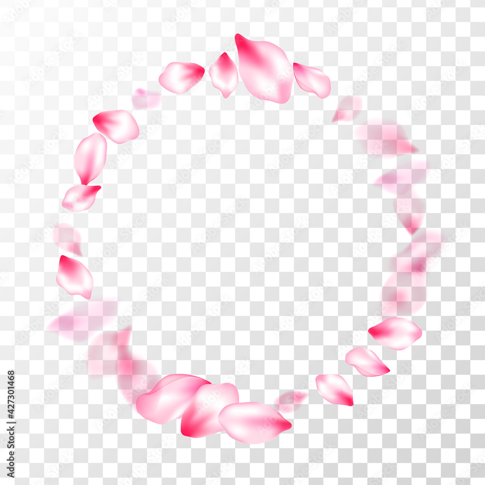 Pink cherry blossom petals isolated Pink cherry blossom petals isolated