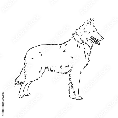 Decorative portrait of standing in profile Belgian Shepherd Groenendael, vector isolated illustration in black color on white background