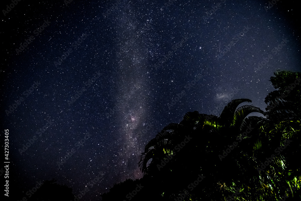 Fototapeta premium Milky Way