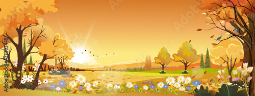 Autumn landscapes of Countryside in evening Sunset with Orange sky,Panoramic of mid autumn in farm field, mountain, wild grass and leaves falling from tree in orange foliage. Wonderland in fall season