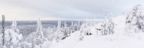 A winter panorama Koli, Finland photo