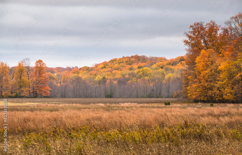scenic autumn landscape photo taken during a road trip in Michigan.