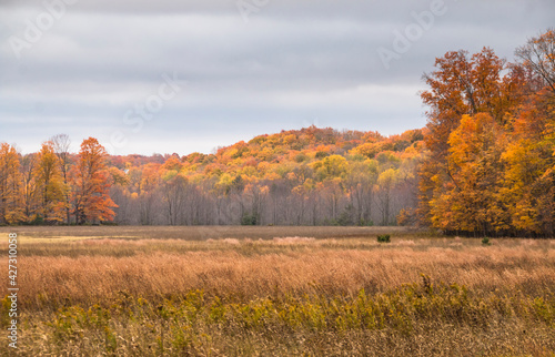 scenic autumn landscape photo taken during a road trip in Michigan.