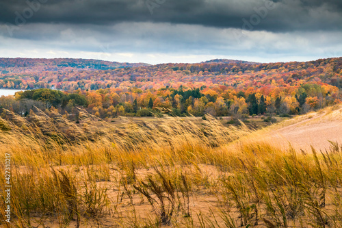 mixture of peak autumn foliage and towering sand dunes in Michigan s Sleeping Bear Sand Dunes National Lakeshore..