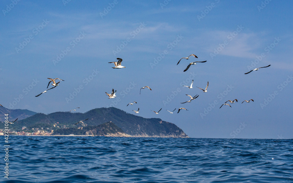 Fototapeta premium Seascape with azure water in the foreground and the Italian port city and rocky coastline in the background. A flock of birds over the water.