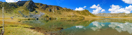Fototapeta Naklejka Na Ścianę i Meble -  mountain landscape panorama with high mountain lake and horse