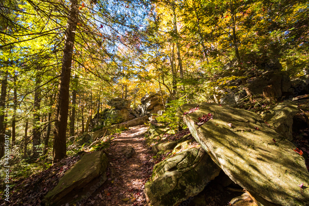 colorful autumn foliage with calming cascading waterfall in Pennsylvania.