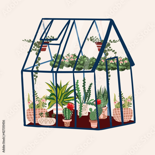 Greenhouse with tropical plants. Glasshouse in garden with cactus, succulent in pots. Botanical cultivated plantation with urban jungle. Floral tropics in pavilion. Exotic flower growing in hothouse.