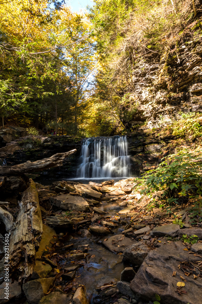 Obraz premium colorful autumn foliage with calming cascading waterfall in Pennsylvania.