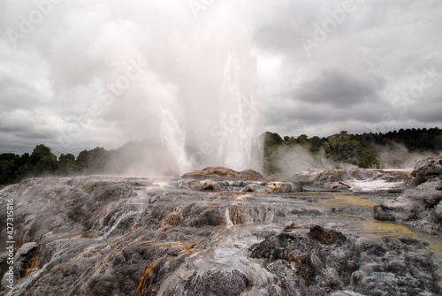 geothermal area of Whakarewarewa - Te Puia in Rotorua
