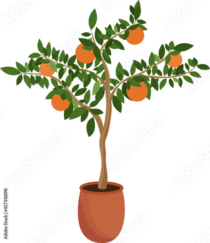 Tangerine tree in a pot isolated on a white background. Citrus sapling grows at home. Vector illustration