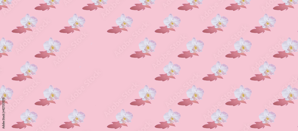 White orchid seamless pattern with copy space on pink background banner format. Blank for your text