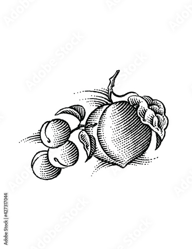 black and white illustration of peach and berries