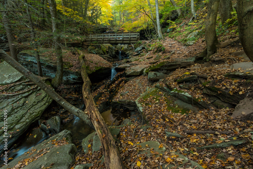 colorful autumn foliage with calming cascading waterfall in Pennsylvania. colorful autumn foliage with calming cascading waterfall in Pennsylvania.