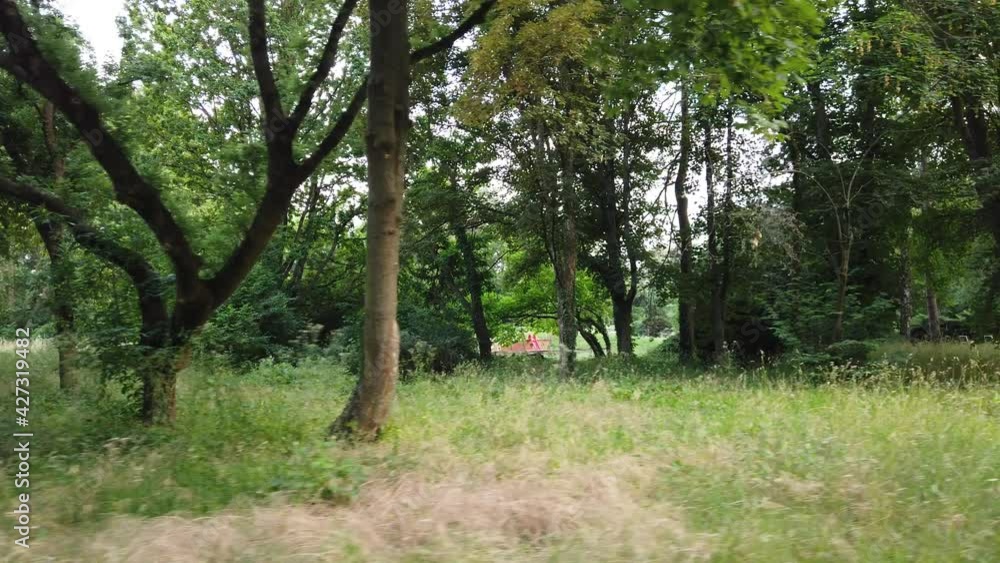 Relaxing walk in nature park - view on the trees Relaxing walk in nature park - view on the trees