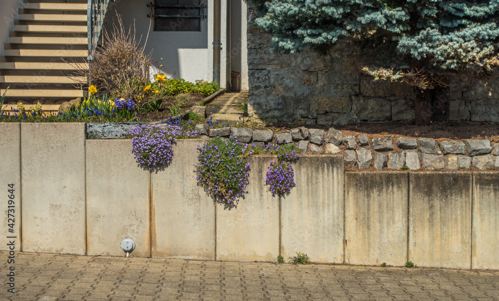Schäden an Hauswand durch Feuchtigkeit Stock Photo Adobe Stock